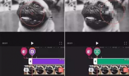 视频剪切用什么软件,打造精彩概述的得力助手