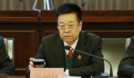 张树林,探寻绿色生态与乡村振兴的融合之路